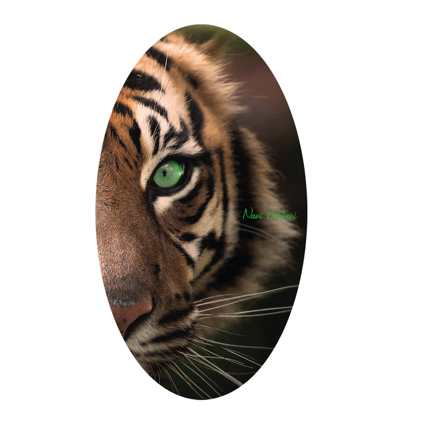 Eye of the Tiger