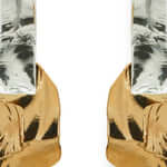 Back to Basics  n°5