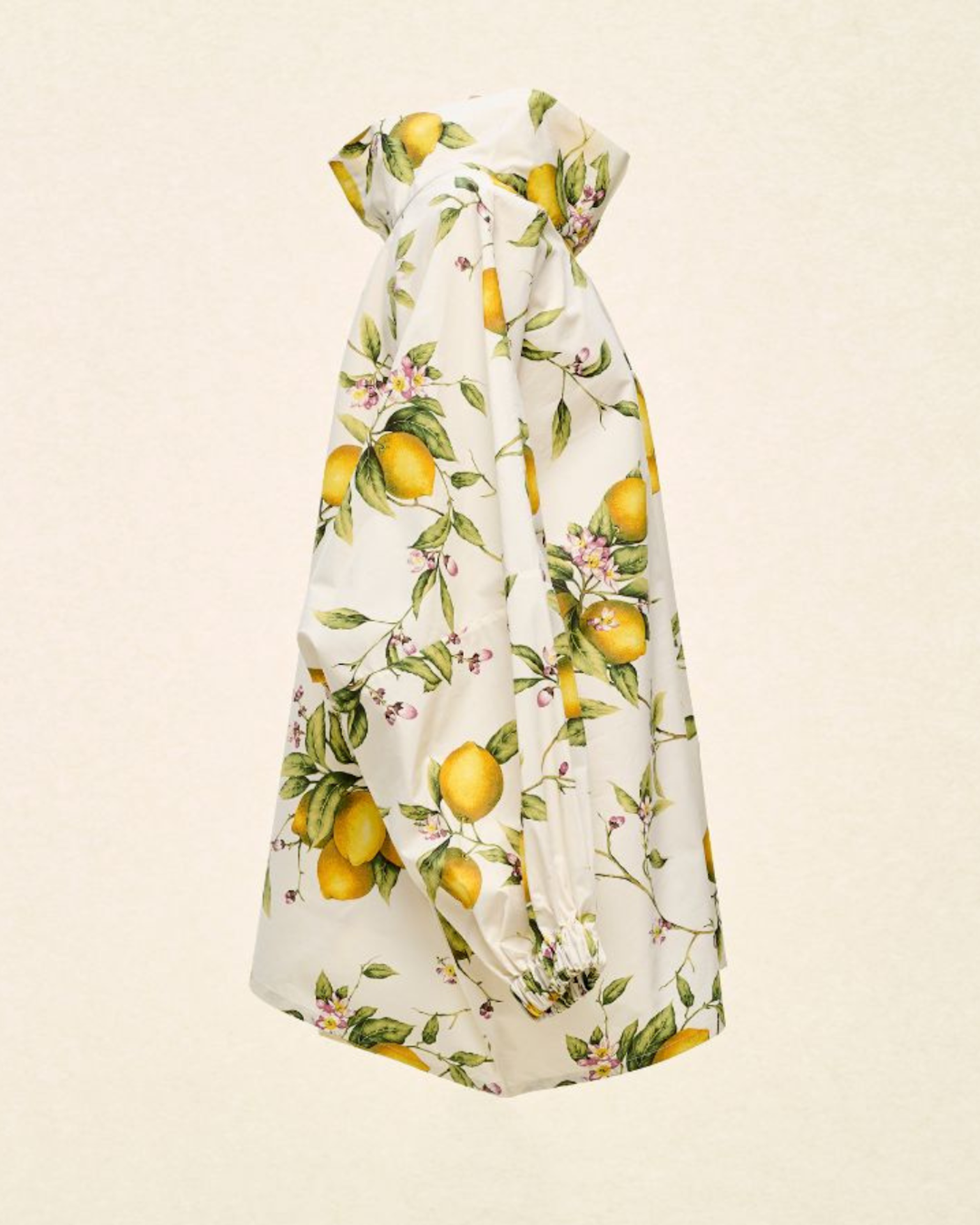 Long Sleeve Lemons Top