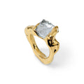 Wonder Sapiens Ring Nr.11